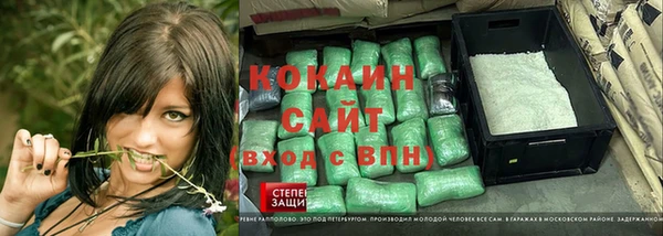 apvp Алзамай