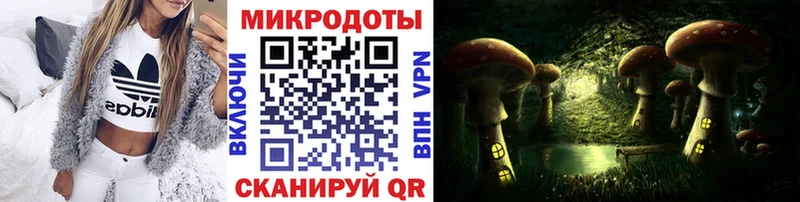 kraken зеркало Гагарин Псилоцибиновые грибы ЛСД что такое наркотик